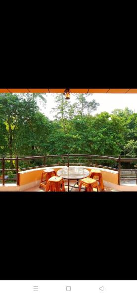Rhinoceros Homestay